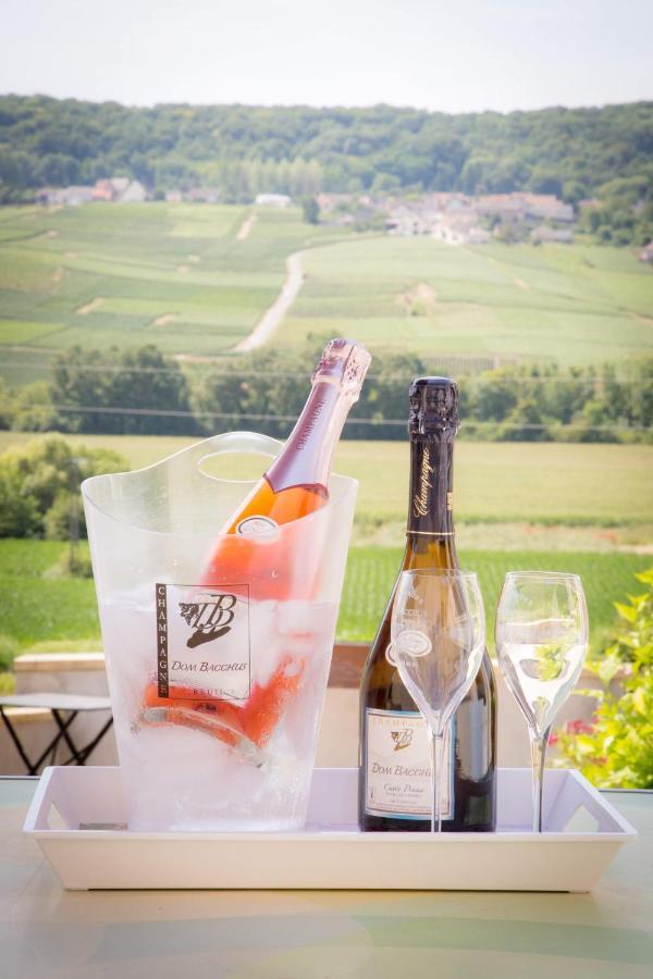 Domaine Bacchus Bed & Breakfast Reuil-sur-Marne Exterior photo