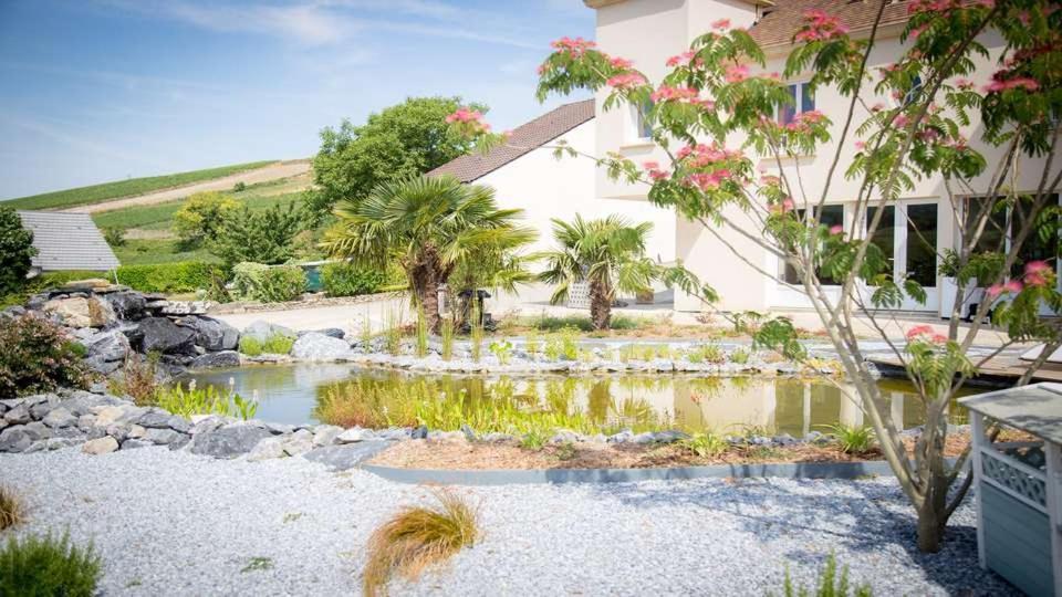 Domaine Bacchus Bed & Breakfast Reuil-sur-Marne Exterior photo