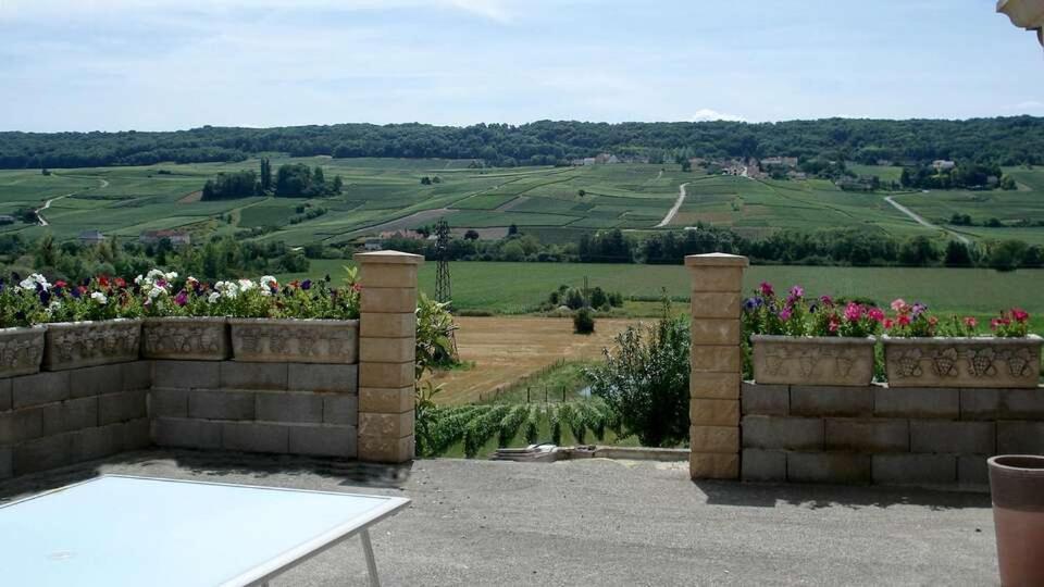 Domaine Bacchus Bed & Breakfast Reuil-sur-Marne Exterior photo