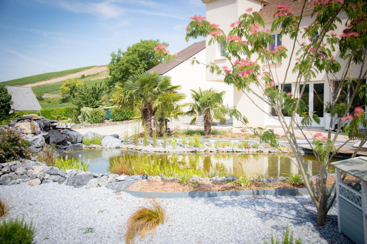 Domaine Bacchus Bed & Breakfast Reuil-sur-Marne Exterior photo